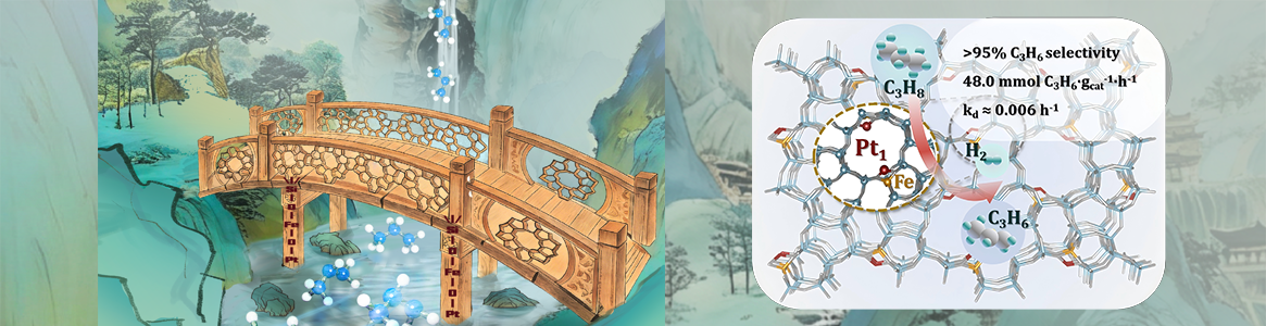 祝贺2023级博士生吕昕彤的研...